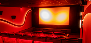 PAMcinema - Kinoinstallation; Leinwandsystem