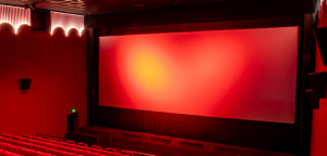 PAMcinema - Kinoinstallation; Leinwandsystem